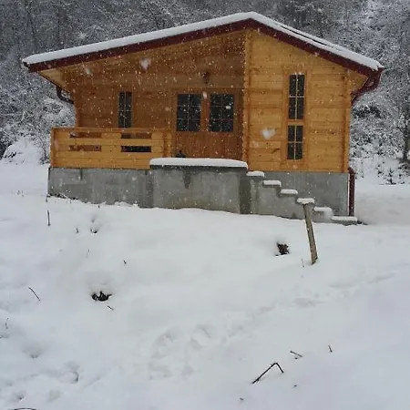 Villa Milica 1 *