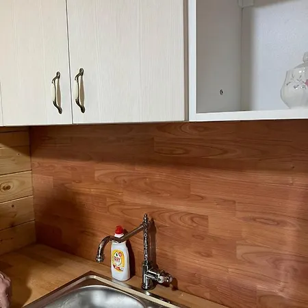 Villa Milica 1 Mezdrejska 87 *