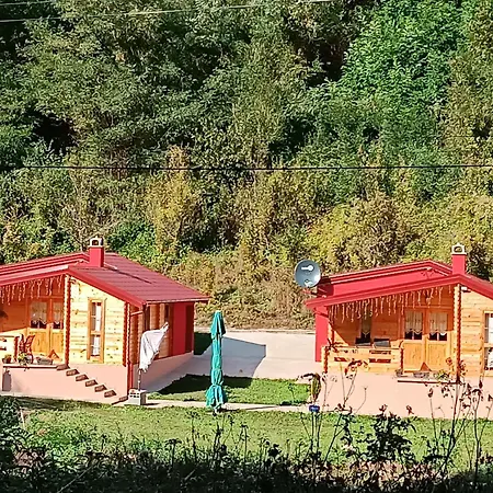 Milica 1 Mezdrejska 87