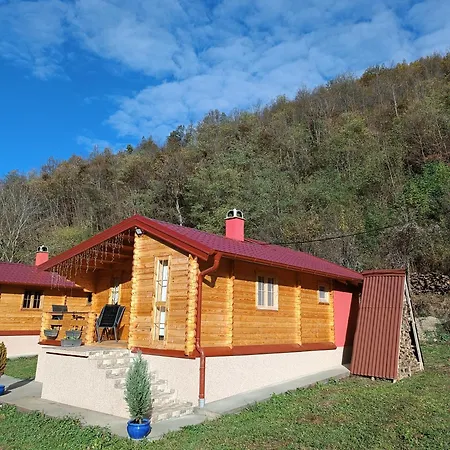 Villa Milica 1 Mezdrejska 87